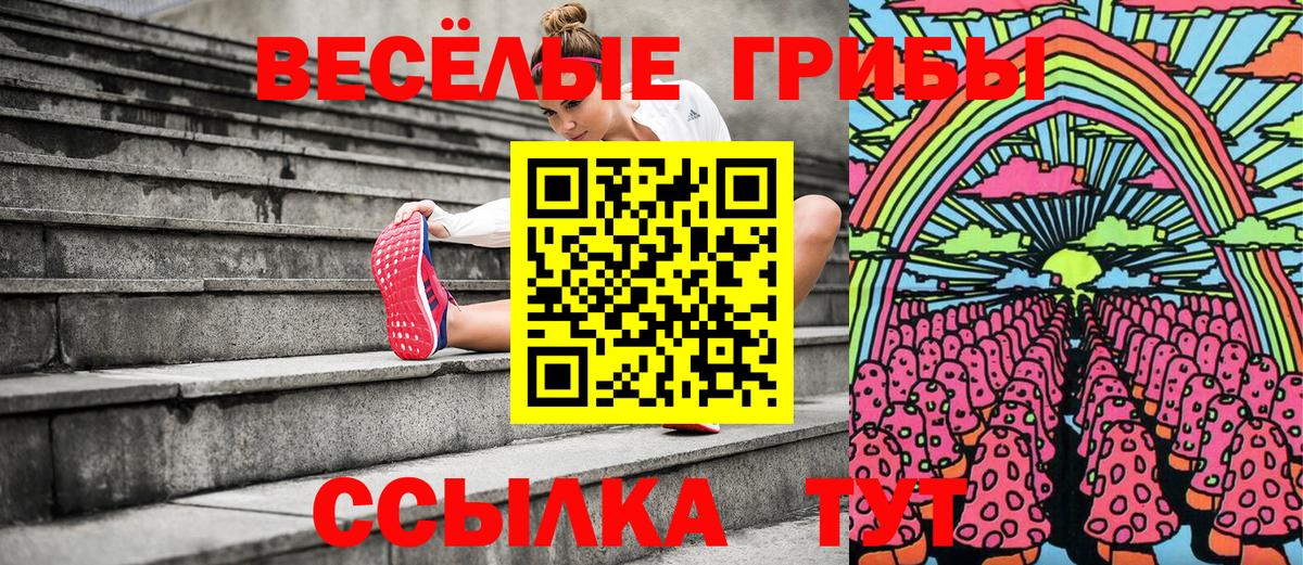 Псилоцибиновые грибы мицелий Сыктывкар